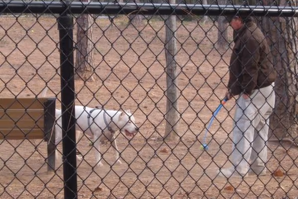 Dog Park at McCormick Park photo 2